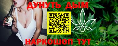 стаф Коммунар