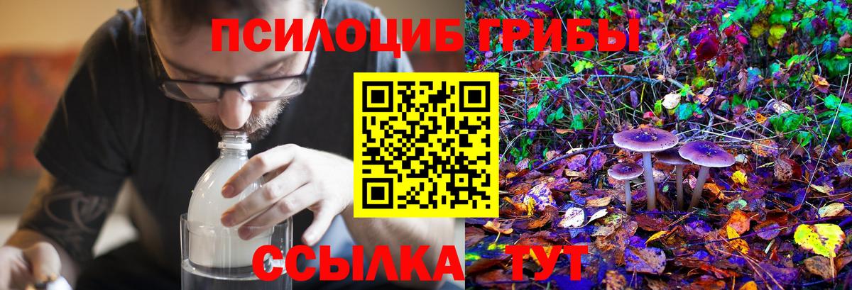 Галлюциногенные грибы Magic Shrooms Киреевск
