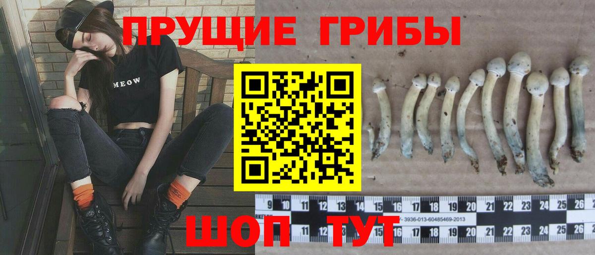 закладки  Вход с VPN  Киреевск  Галлюциногенные грибы ЛСД 